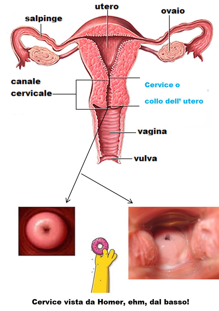 cervice-figura-completa
