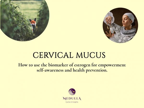 Cervical_Mucus_cover